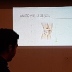 Anatomie du genou